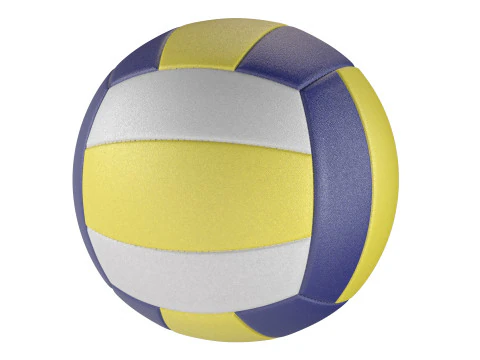 Volley-ball Modèle 3D