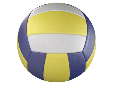 Volley-ball Modèle 3D