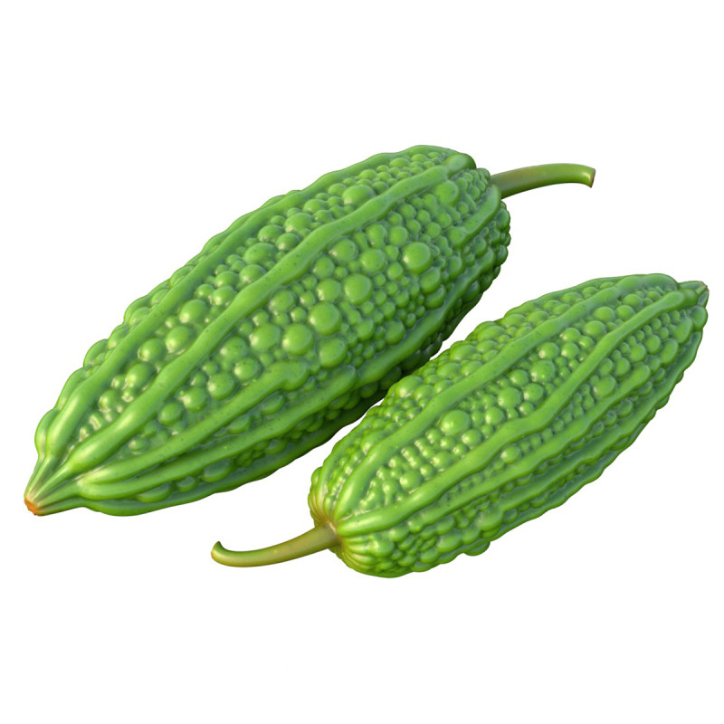Bitter gourd v2 3D Model .c4d .max .obj .3ds .fbx .stl .blend 