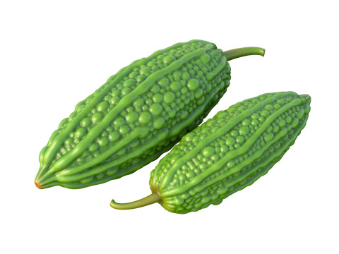 Bitter gourd v2 3D Model