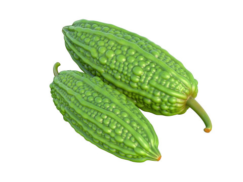Bitter gourd v2 3D Model
