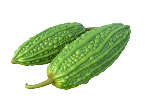 Bitter gourd v2 3D Model