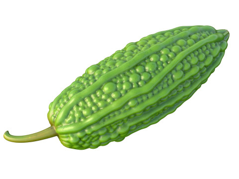 Bitter gourd v2 3D Model