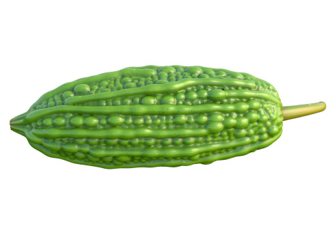 Bitter gourd v2 3D Model