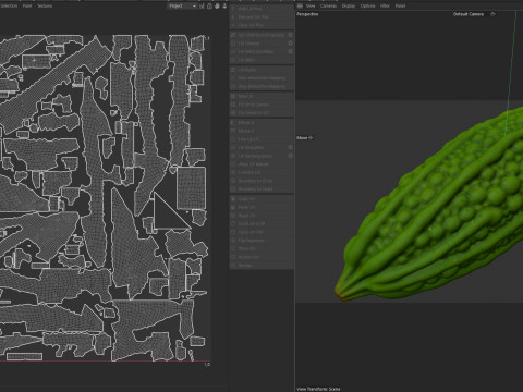 Bitter gourd v2 3D Model