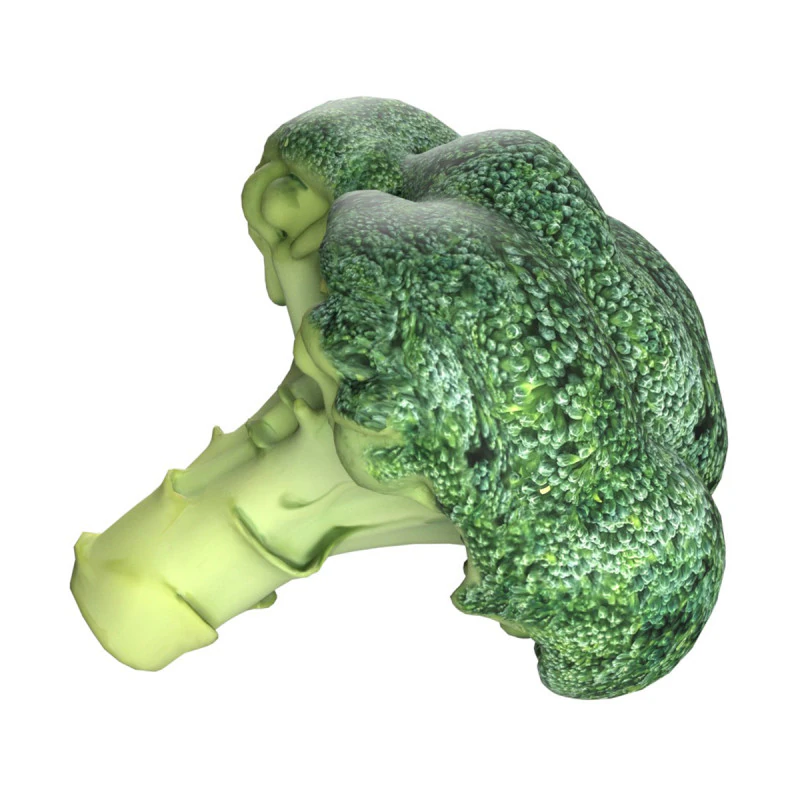 Broccoli low poly 3D Model .c4d .max .obj .3ds .fbx .stl .blend 