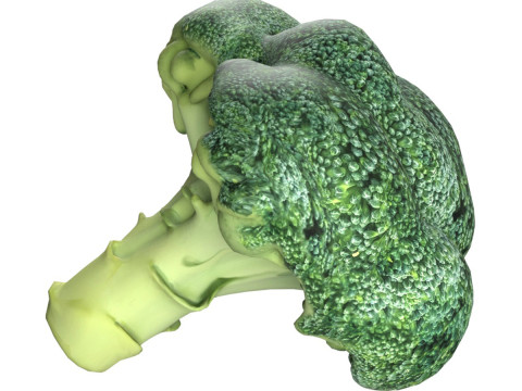 西兰花低聚 3D 模型