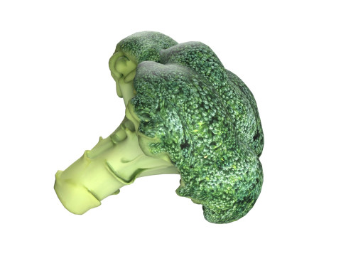 西兰花低聚 3D 模型