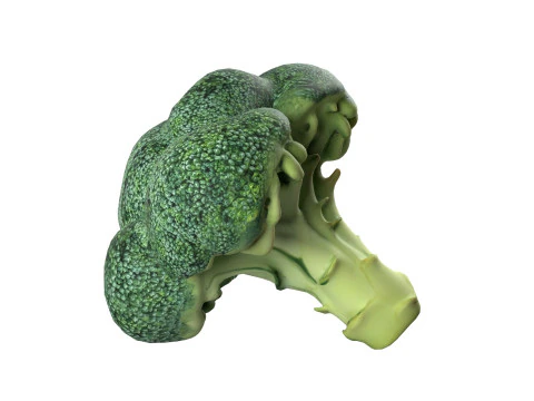 Broccoli low poly 3D Model