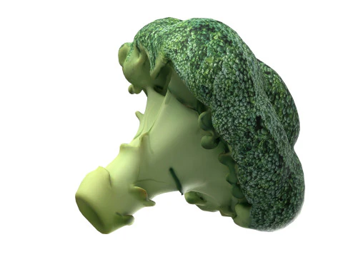 Broccoli low poly 3D Model