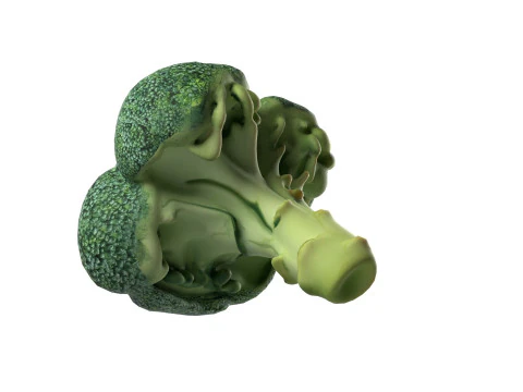 Broccoli low poly 3D Model
