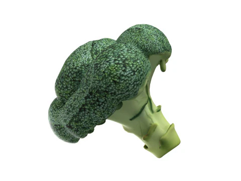 Broccoli low poly 3D Model