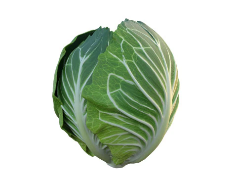 Verdura verde del cavolo Modello 3D