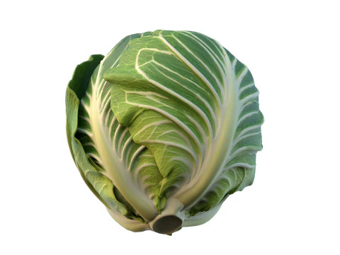 Verdura verde del cavolo Modello 3D