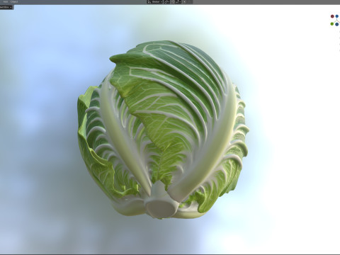 キャベツの緑の野菜 3Dモデル