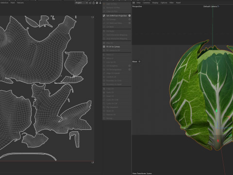 キャベツの緑の野菜 3Dモデル