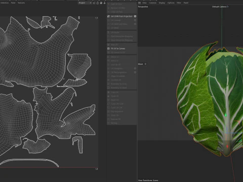 Verdura verde del cavolo Modello 3D