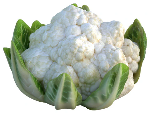 Цвітна капуста овоч 3D Модель