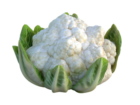 花椰菜蔬菜 3D 模型