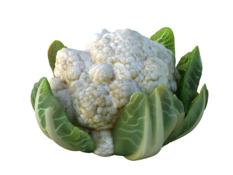 花椰菜蔬菜 3D 模型