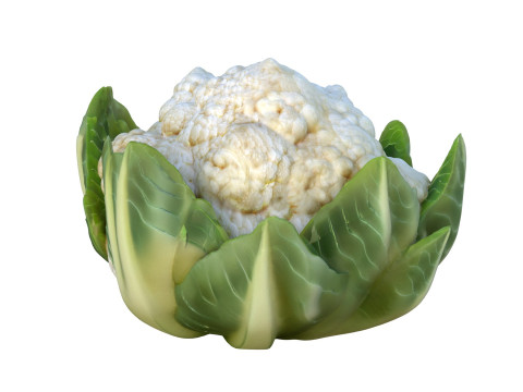 花椰菜蔬菜 3D 模型