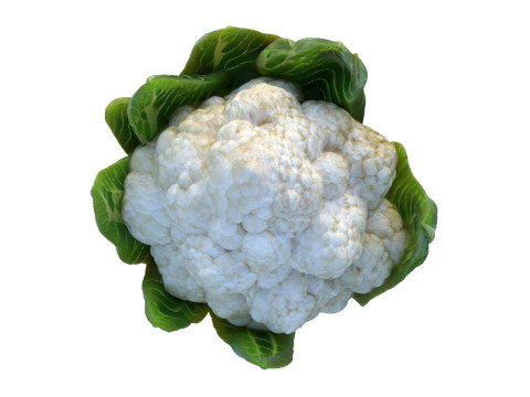 花椰菜蔬菜 3D 模型