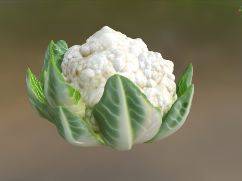 花椰菜蔬菜 3D 模型