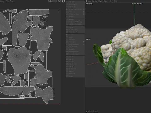 Цвітна капуста овоч 3D Модель