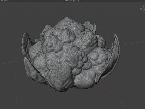 花椰菜蔬菜 3D 模型