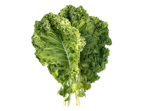 ケールの葉 3Dモデル