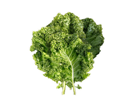 ケールの葉 3Dモデル