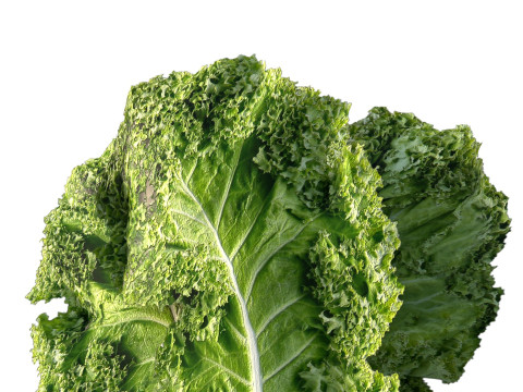 ケールの葉 3Dモデル