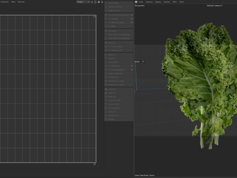 ケールの葉 3Dモデル