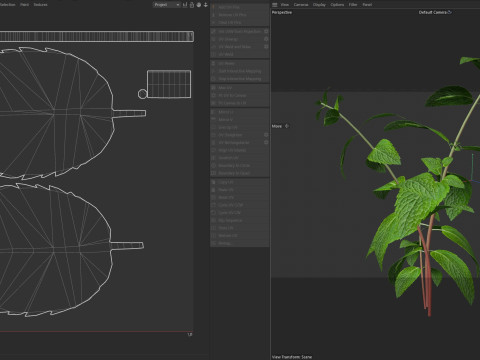 Pianta erbacea di menta Modello 3D