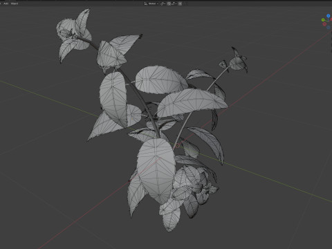 Pianta erbacea di menta Modello 3D