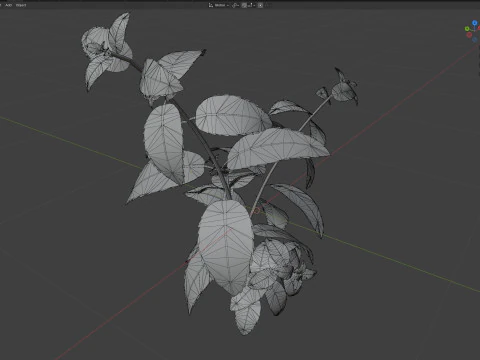 Mint herb plant 3D Model