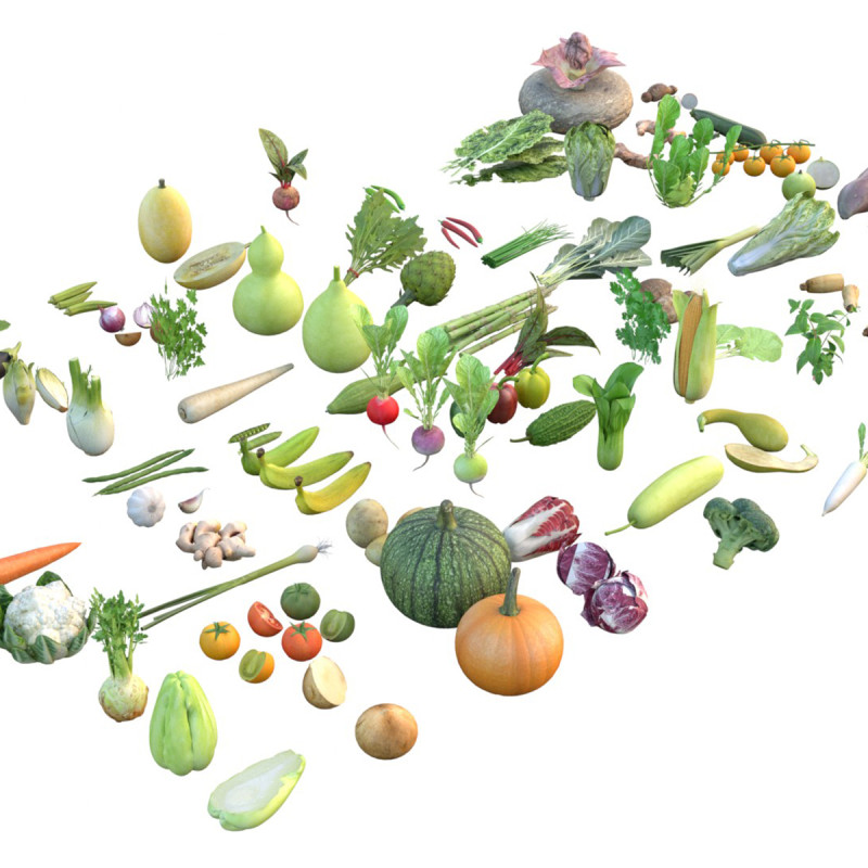 Vegetable collection 3D Model .c4d .max .obj .3ds .fbx .stl .blend 