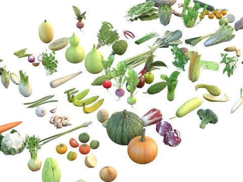 蔬菜收藏 3D 模型