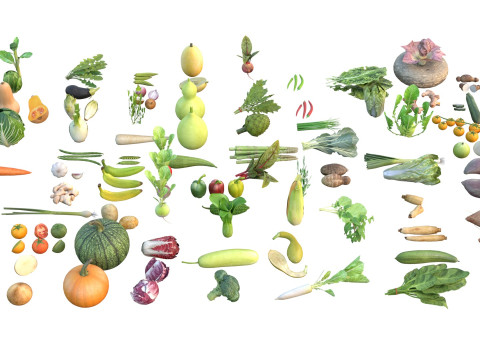Vegetable collection 3D Model