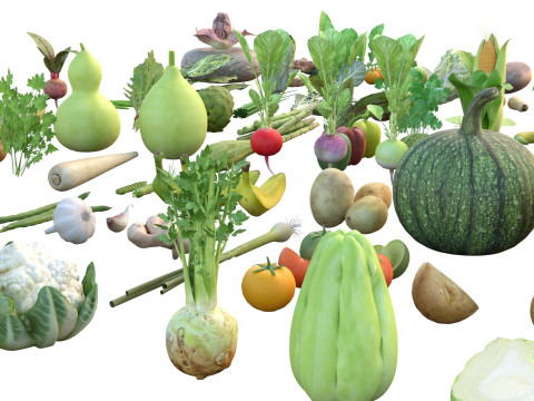 Vegetable collection 3D Model