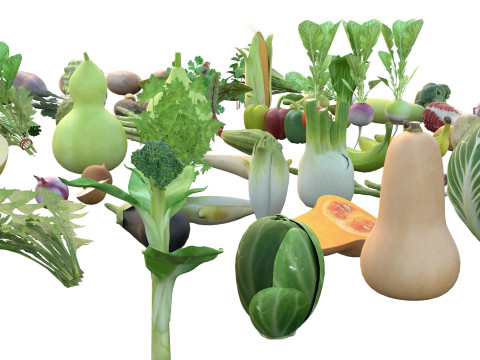 Vegetable collection 3D Model