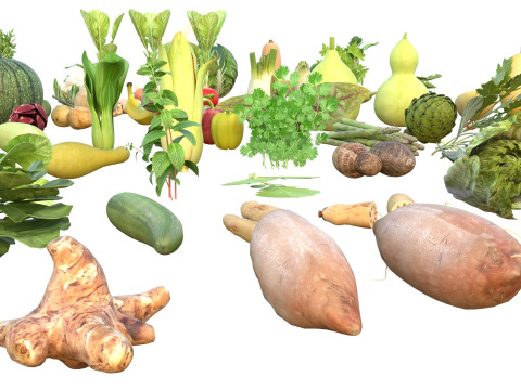 Vegetable collection 3D Model