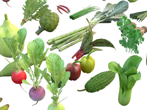 Vegetable collection 3D Model