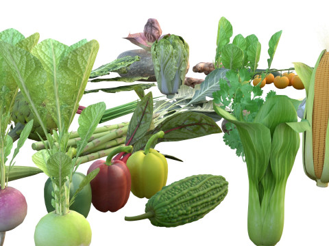Vegetable collection 3D Model