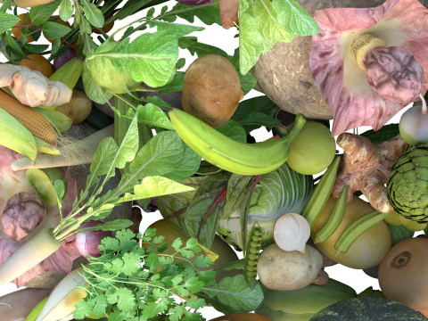Vegetables pile 3D Model