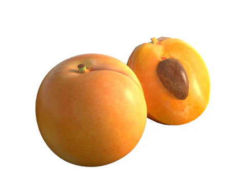 Frutta dell'albicocca Modello 3D