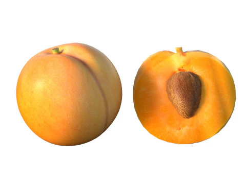 Frutta dell'albicocca Modello 3D