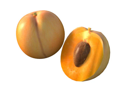Frutta dell'albicocca Modello 3D