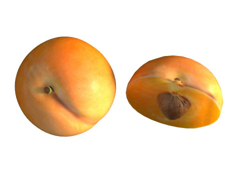 Frutta dell'albicocca Modello 3D