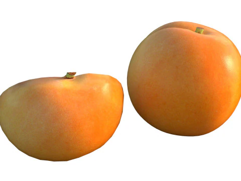 Frutta dell'albicocca Modello 3D